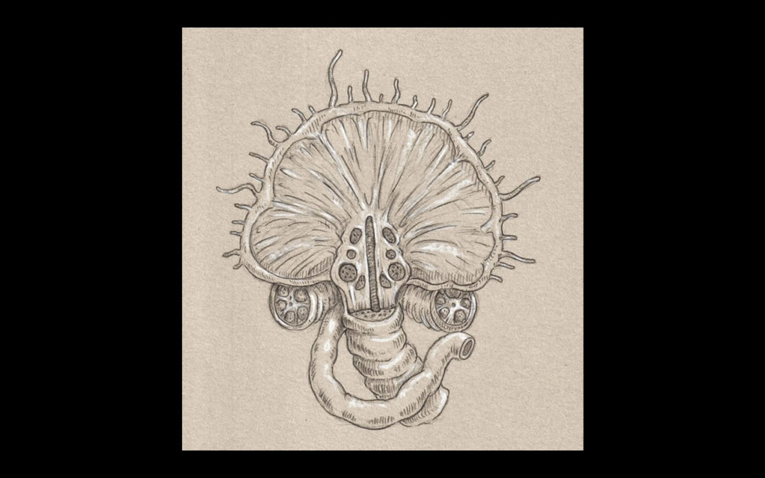 Anatomical View of the Fungi from Yuggoth